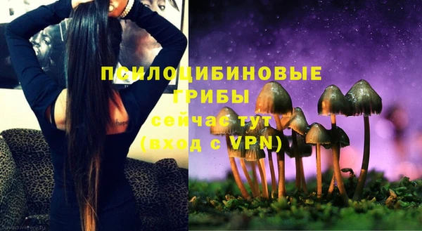 винт Алексин
