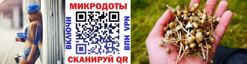 Галлюциногенные грибы прущие грибы  наркота  ссылка на мегу tor  Алапаевск 